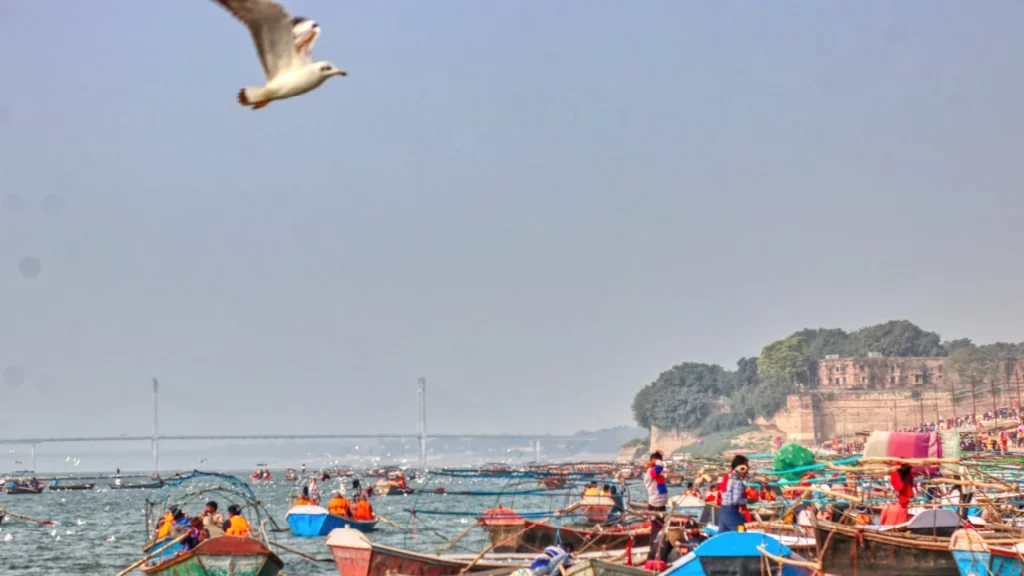 Which scriptures declare Prayagraj to be the supreme pilgrimage site?