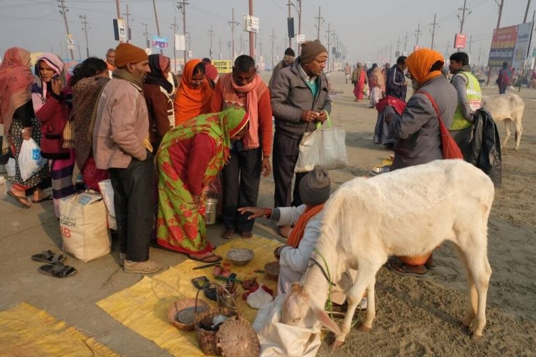 Online Gau daan | Shradh Pooja | Pind Daan at Prayagraj