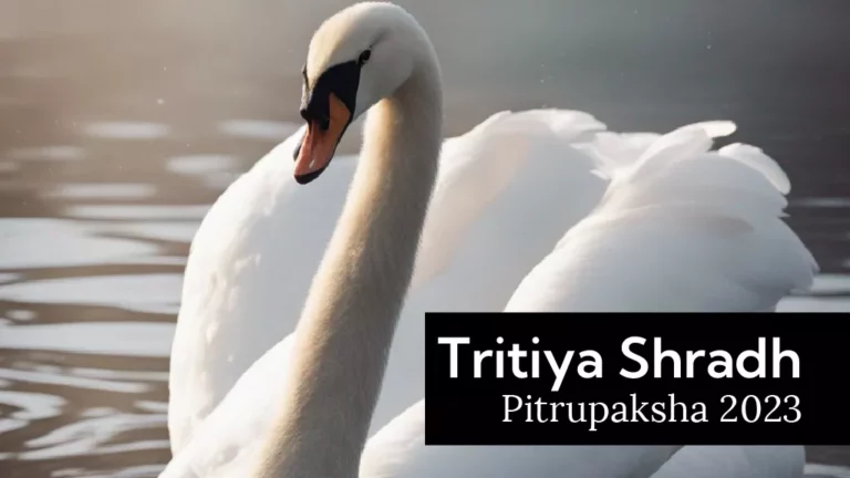 Tritiya Shradh 2026 — priest conducting shradh ceremony on the third day of Pitrupaksha