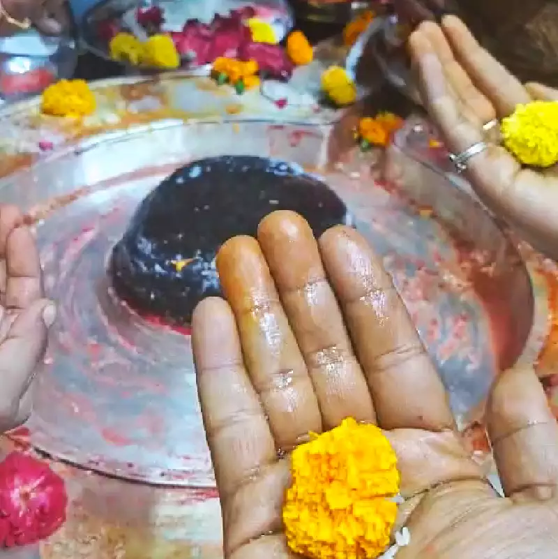 Mangal Dosha Puja ritual prepared for online family participation