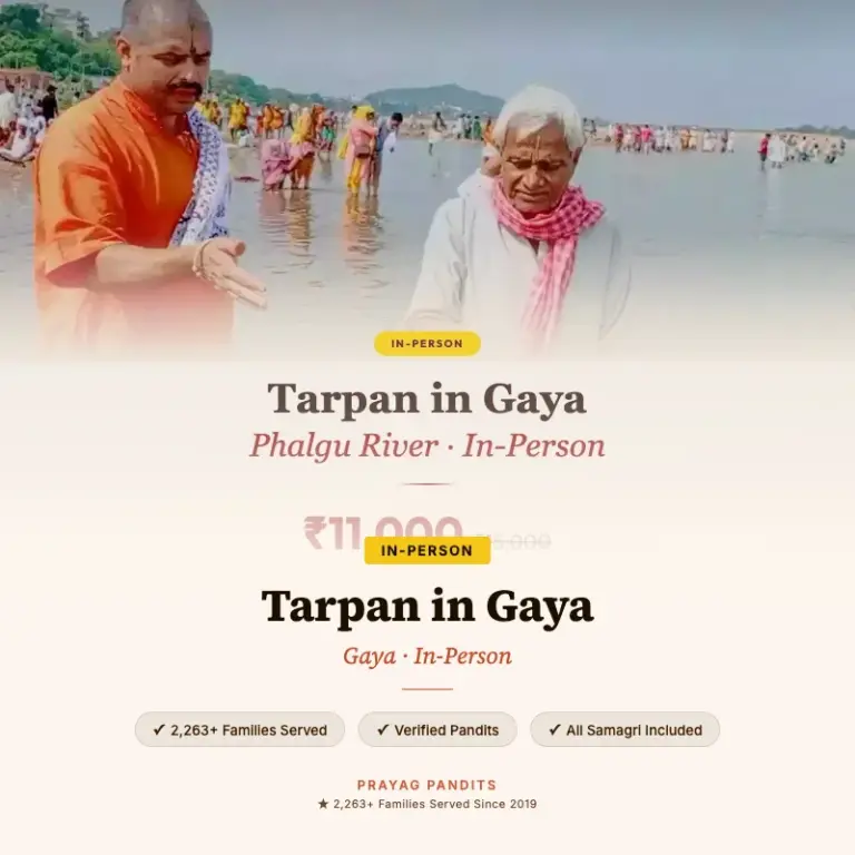 Tarpan in Gaya